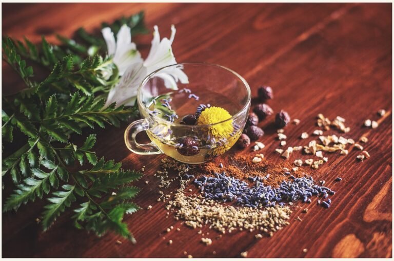 Exploring the Power of Herbal Medicine in Naturopathy