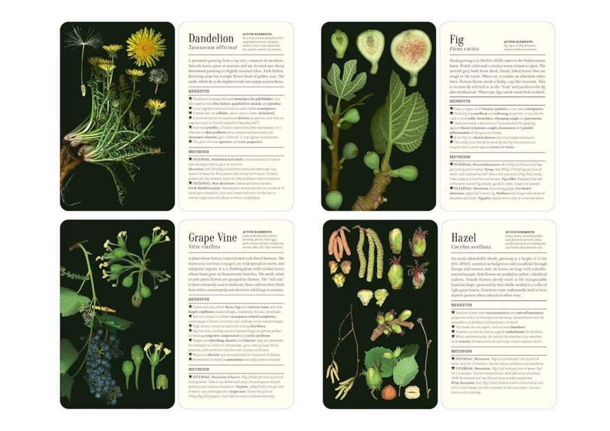 50 Plants that Heal: Discover Medicinal Plants - A Card Deck     Cards – September 13, 2022