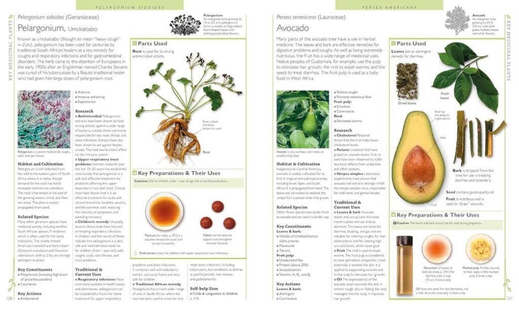 DK Encyclopedia of Herbal Medicine: 550 Herbs Loose Leaves and Remedies for Common Ailments     Hardcover – July 5, 2016