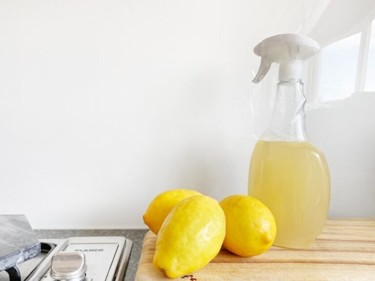 The Ultimate Guide to Using Home Remedies to Get Rid of Fleas